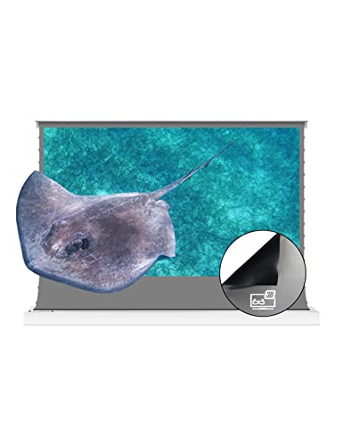 VIVIDSTORM-3D Long Focus Ambient Light Rejecting Screen Material, Motorized Floor-Rising