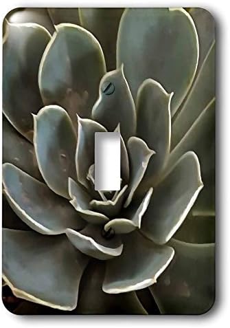 3dRose Single Toggle Switch Garden Succulent Green Gray Tones (lsp_305936_1) image 2