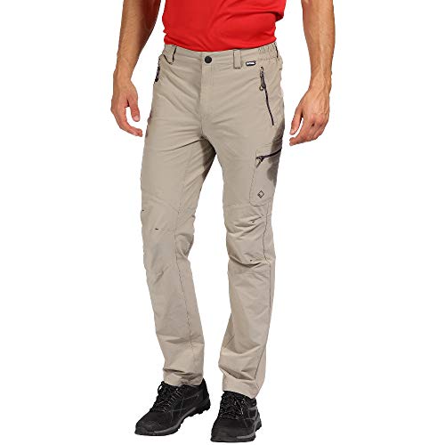 Regatta Mens Highton Hiking Trousers (42R) (Parchment)