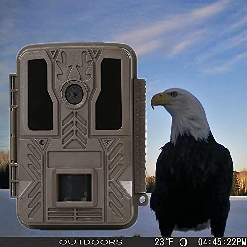 Wildkamera 4K 24MP Wildtierkamera Handyübertragung mit Bewegungsmelder Infrarot-Nachtsicht Profi Jagdkamera 940nm LED… – Bild 5