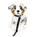 Teddys Rothenburg Kuscheltier Australian Shepherd sitzend grau/weiß/braun 26cm Plüschhund