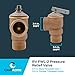 Cash Acme 3/4 Inch RV FWL-2 Pressure Relief Valve, Bronze, 75 PSI, 14917-0075