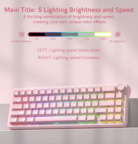 Image of womier L65 60% Pink Mechanical Keyboard with Knob,4000mAh,Tri Mode USB-C /BT5.0 /2.4G,RGB Backlit,Hot Swap,Crystal Jelly keycaps,Linear Switch,Gasket Mounted Wireless Gaming Keyboard for PC /Mac