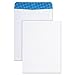 Quality Park 41415 Catalog Envelopes, Tint, 9-Inch X12-Inch, 100/Bx, White Wove