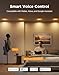 Govee Smart Recessed Lighting 4 inch, RGBIC LED Recessed Light Compitable with Matter and Alexa, 2700K-6500K Dimmable 900LM Canless Downlight with Junction Box for Bedroom, 4 Pack