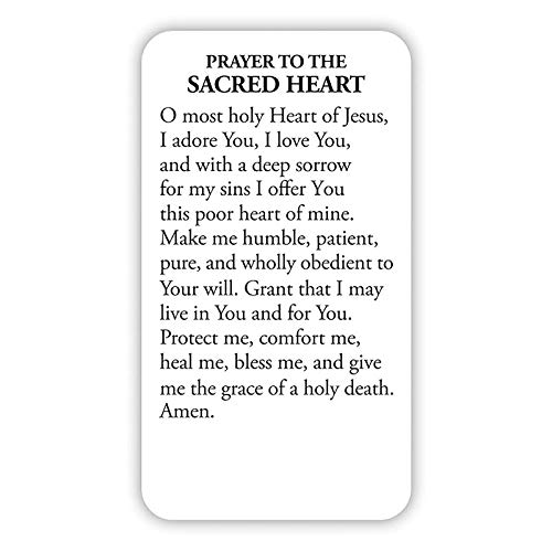 Needzo Daily Devotional Wallet, Mini Book of Favorite Catholic Novenas, Holy Card and Sacred Medal, 2 X 3 Inches4