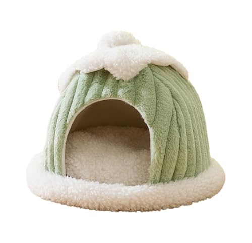 Diexgiy LpXm[nEX Lpxbh LbgnEX S^ g  ybgpi (O[,S:(d6҈ȓ))