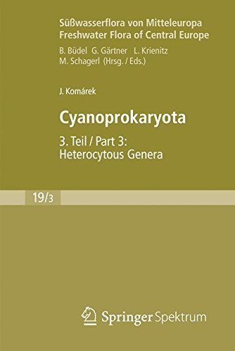 By Jiri Komarek SǬÇ_wasserflora von Mitteleuropa, Bd. 19/3: Cyanoprokaryota: 3. Teil / 3rd part: Heterocytous Gener (2013) [Hardcover]