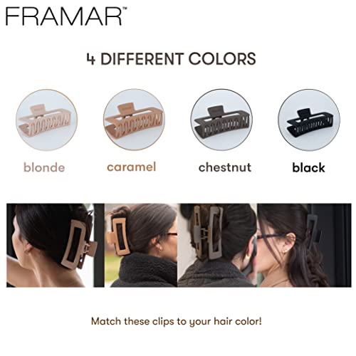 Framar Large Cute Claw Clips For Thick, Long Hair Variety Pack #TOP4