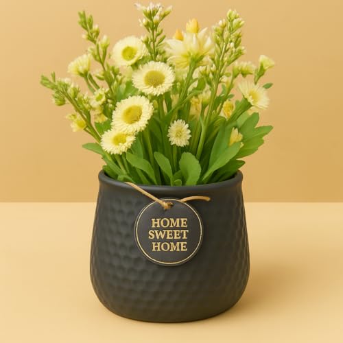 Image of Yo Green Ceramic Plant Pot for Indoor & Outdoor, Modern Planter for Home & Office Decor, Durable, Stylish Finish, Ideal for Tabletop, Shelf, Balcony, Great Gift Idea (Charcoal, 4 Inches)
