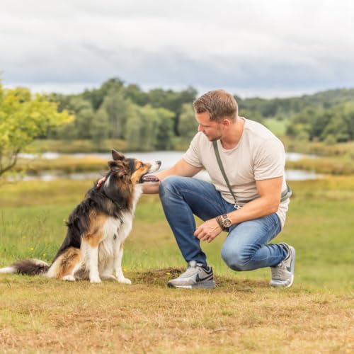 TRIXIE Hundeleckerli PREMIO Hunde-Leberwurst 110g - Premium Leckerlis für Hunde glutenfrei - ohne Getreide & Zucker, schmackhafte Belohnung für Training & Zuhause - 3176