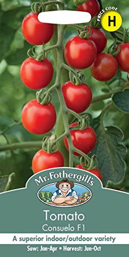 Mr Fothergill’s Seeds Ltd 35196 Tomato Consuelo F1, red