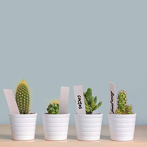 Plant Labels, ZOUTOG 1000 Pcs Plastic Plant Tags 4 Inch Garden Makers with Pen - Thumbnail 7