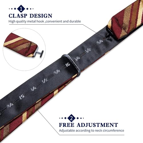 Set de corbata de moño y accesorios para hombre miniatura 6