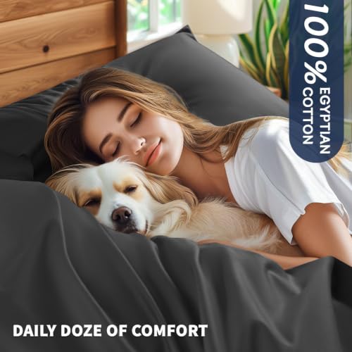 Shilucheng 100% Egyptian Cotton Queen Size Sheets Set (Black, Queen) - image 2