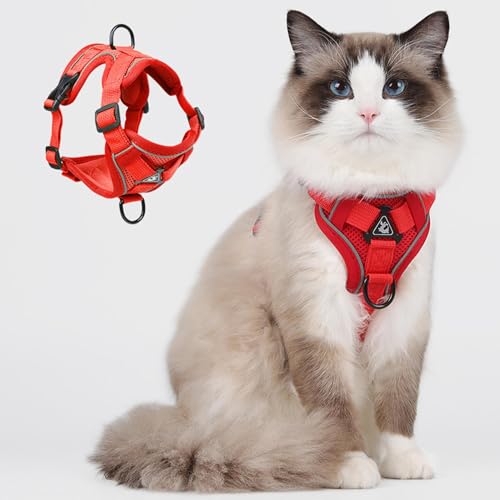 Arnês e chumbo para gatos, à prova de fuga do arnês para gatos - Arnês de colete respirável para gat