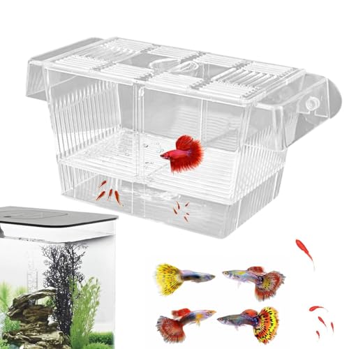 Boîte d'élevage de poissons, séparateur d'aquarium pour poissons agressifs | Incubateur d'écloserie pour bébés poissons, crevettes, Betta et Guppy