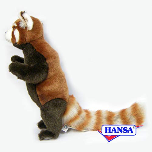 HANSA 動物 レッサーパンダ ぬいぐるみ 楽天市場】ハンサ【HANSA】リアルぬいぐるみレッドパンダ37