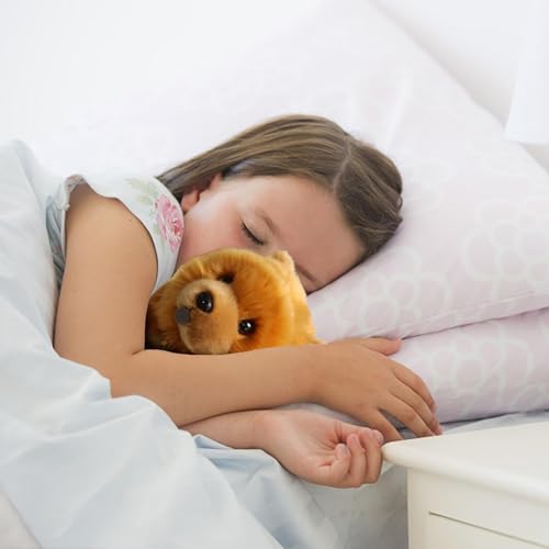 Alimento Para Perro, Pet Products Imagen adicional