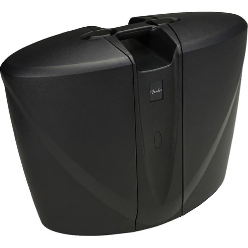 Amazon.com: Fender 6944000000 Passport Venue Series 2 Portable