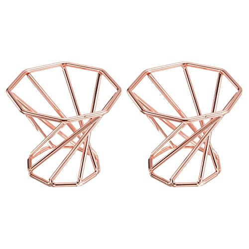 PATIKIL Air Plant Holder, 2 Pack Tillandsia Pot Base Container Metal Air Plant Rack Indoor Planter Stands for Home Rose Gold