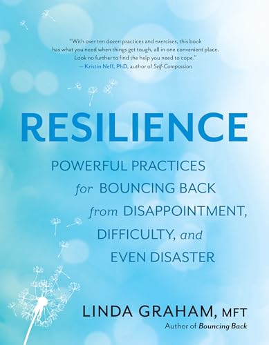 Resilience: Powerful Practices for Bouncing Back from Disappointment, Difficulty, and Even Disaster view 2
