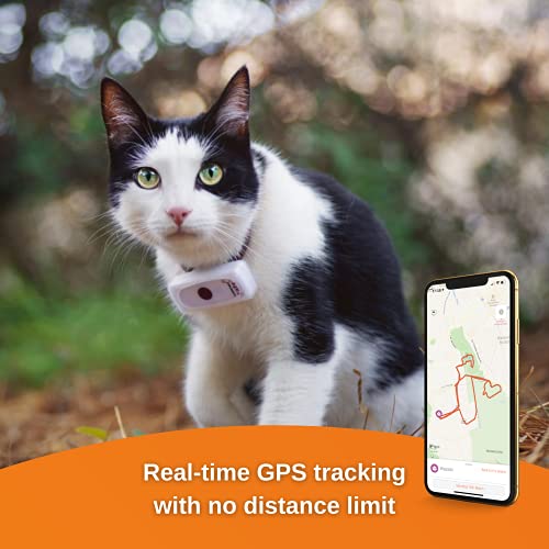 Weenect Cats 2 - GPS tracker for cats | Real-time GPS tracking | No distance limit | Smallest tracker on the market | Subscription required - Image 4