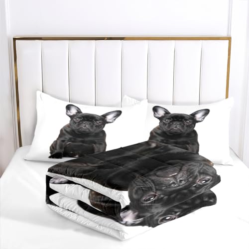 Couette de mode minimaliste 220x240 douce et légère 4 saisons