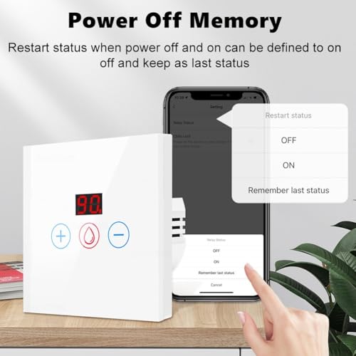 Interrupteur connecté chauffe-eau WiFi commande vocale Alexa Google 4400W - 5