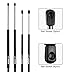Maxpow 2 Tailgate and 2 Rear Window Glass Lift Supports Struts Compatible with Suburban Tahoe/GMC Yukon 2000 2001 2002 2003 2004 2005 2006 4185 4557