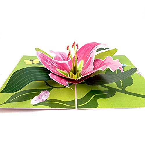 Mapu Mapu - Tarjeta de cumpleaños 3D, tarjeta desplegable en 3D, tarjeta de felicitación de cumpleaños, hecha a mano con sobre incluido Cover