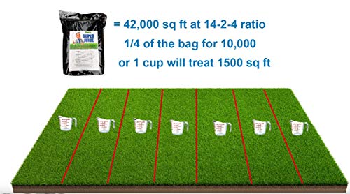 Super Juice All In One Soluble Supplement Lawn Fertilizer #TOP3