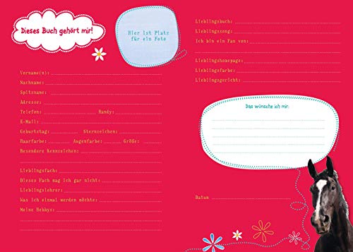 Charlottes Traumpferd: Mein Pferde-Tagebuch: Mit