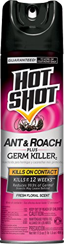 Hot Shot Ant & Roach Plus Germ Killer, Fresh Floral Scent Aerosol, 17.5-Ounce