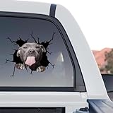 Vinyl Dog Stickers - Car Decals for Women, Dog Lover Gift (Pitbull Car Decal)