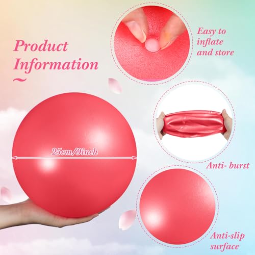 Image of Aoriher 10 Pack 9 Inch Small Pilates Ball Bulk Mini Exercise Ball Portable Non-Slip Workout Yoga Balls with Air Pump for Stability, Barre, Fitness, Balance, Physical &Core, Gym Home Office Use