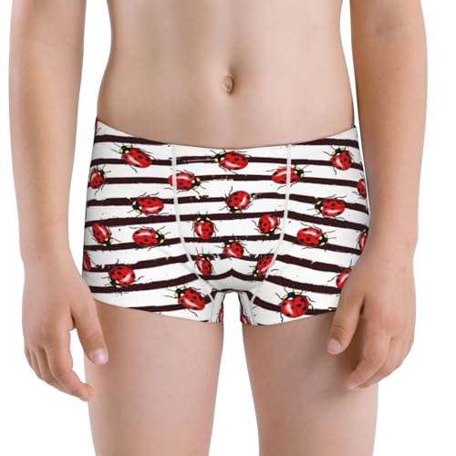 Boys' Cotton Boxer Brief Soft Underwear-Ladybugs On Black And White Striped1