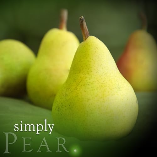 Difusor de Varillas Simply Pear Recarga 200 ml miniatura 4
