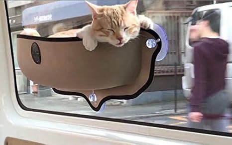 cat bed suction cup window