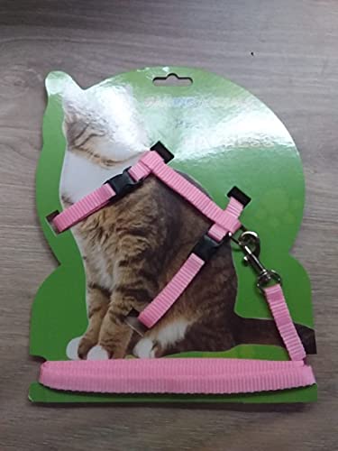 Peitoral Com Guia Para Gatos Pet Ajustável (Roxo)