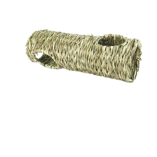 Xiraivke ETM̑葐҂݂̑ETM̑ggnX^[FbgglߋnlY~ʘHߋ (̃gl)