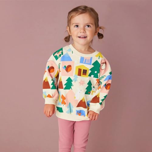 Boys' Long Sleeve Hooded Toddler Boy's Girl's Cartoon Prints Long Sleeves Crewneck Pullover Pocket Pullover2