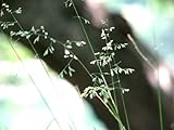 InnerRESOURCES Publications