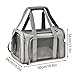 DGJMYSLD Collapsible Travel Cat Dog Carrier for Small Medium Pets up to 15 Lbs, Puppy Carrier(Black,M (43x28x28cm))