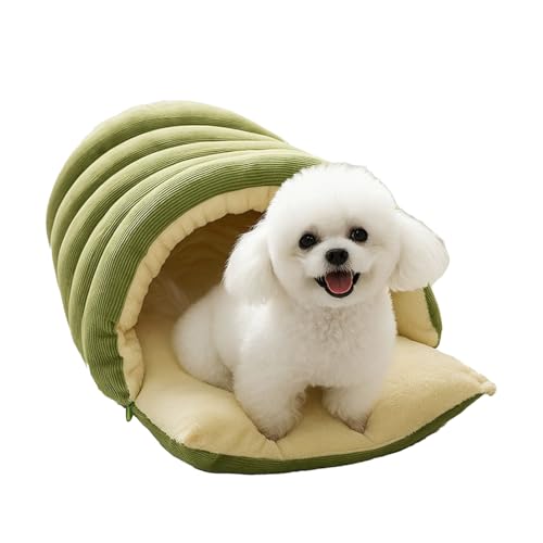 nEX^ L xbh - R[W[ hbO nEX lXg,R[W[ybgP[uxbh | EOp qL q L  Q ~  rO[