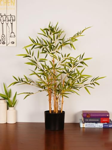 Image of ARICK DECOR Artificial Bamboo Tree 3Ft Tall in Pot - Realistic Faux Bamboo Silk Plant with Natural Look Canes, Peacock Shaped Floor Decor Greenery for Home, Bedroom, Living Room, Office & Balcony