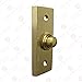 Adonai Hardware Rectangular Victorian Brass Bell Push or Door Bell or Push Button - Satin Brass