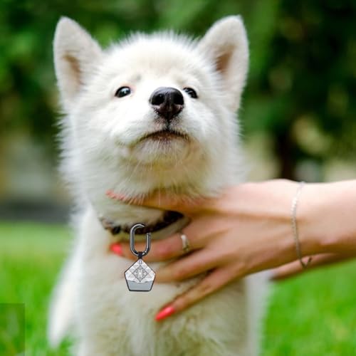 Thoquene 10 Stück Mini Karabiner Klein, Karabinerhaken Schwarz