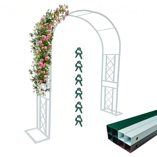 Treillis en métal robuste avec 6 clips pour tuteurer vos plantes grimpantes