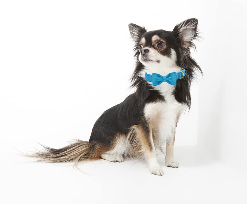 Unique style paws Dog Collar with Bowtie - Image 4
